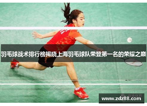 羽毛球战术排行榜揭晓上海羽毛球队荣登第一名的荣耀之巅