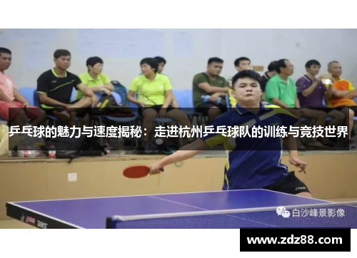 乒乓球的魅力与速度揭秘：走进杭州乒乓球队的训练与竞技世界