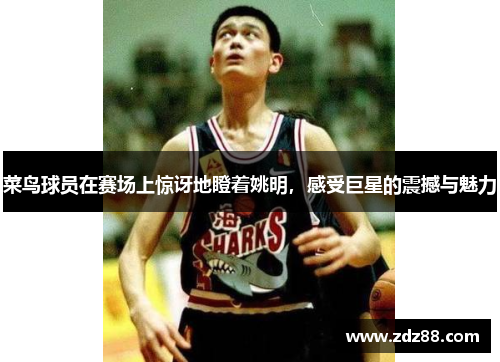 菜鸟球员在赛场上惊讶地瞪着姚明，感受巨星的震撼与魅力